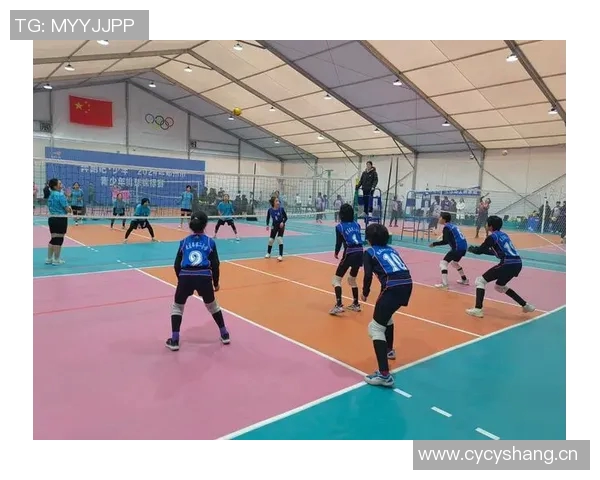 排球意识排行榜揭晓深圳排球队荣获第三名成就辉煌